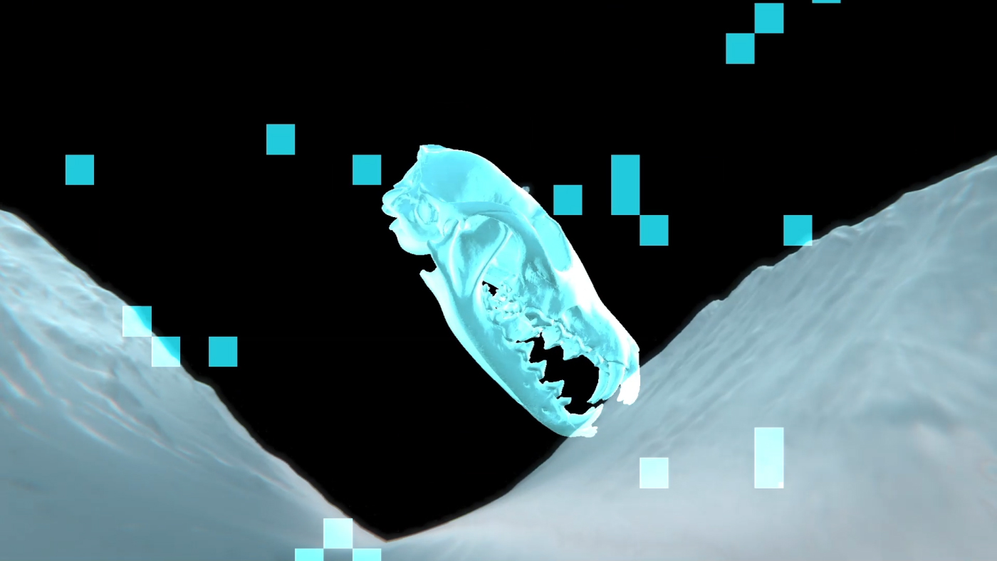 Ice Foxes by Substencia: a bright cyan animal skull surrounded by floating square fragments