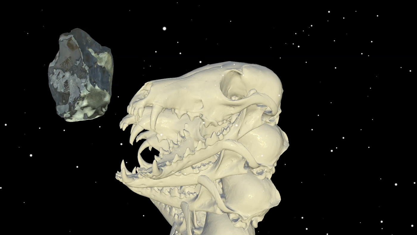 Ice Foxes by Substencia: a pale animal skull and floating rock fragments against a dark background